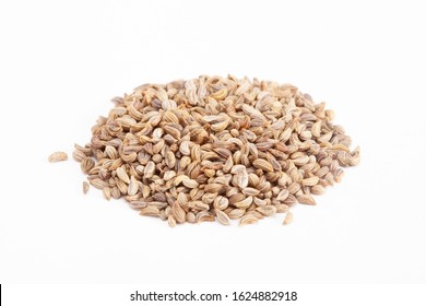 Parsley Seeds High Res Stock Images Shutterstock