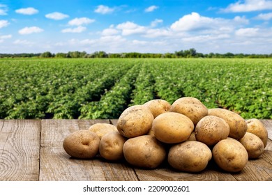 heap of potatoes on wooden table with agriculture field and blue sky on the background - Shutterstock ID 2209002601