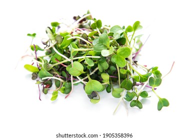 Heap of radish micro greens on white background. Healthy eating concept. 