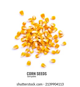 Heap Of Raw Corns Seeds, Maize Or Sweetcorn Kernels Top View Isolated On White.