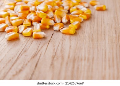 Heap Of Raw Corns Seeds, Maize Or Sweetcorn Kernels On Wooden Background. Selective Focus