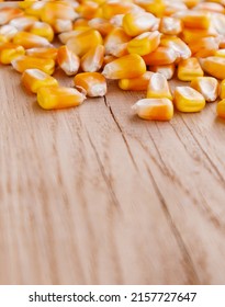 Heap Of Raw Corns Seeds, Maize Or Sweetcorn Kernels On Wooden Background. Selective Focus