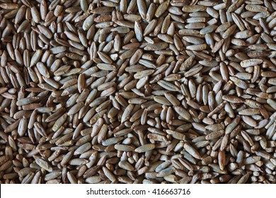 Heap Of Rye Seeds