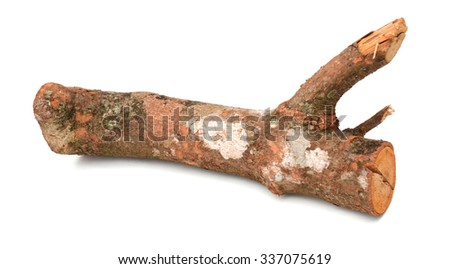 Heap of several logs. Isolated on a white.