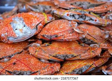 Heap Of Steamed Blue Crabs, Fresh Seafood