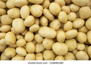 Heap of white potatoes, top view Raw Food. filled frame background