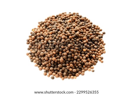 Heap of wiki seeds isolated on white background, top view. Wiki seed pile, top view. Dry wiki seeds close up, background, texture, top view. Vicia sativa isolated on white background, top view.