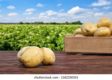 heap of young potatoes on wooden table and in crate with blooming field on the background - Shutterstock ID 2182330355
