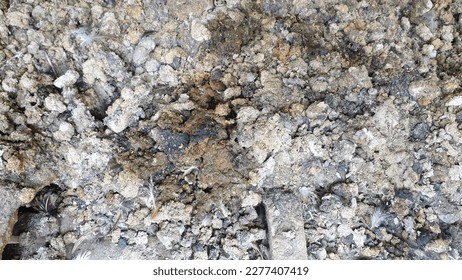 heaps of chicken manure in the coop - Shutterstock ID 2277407419