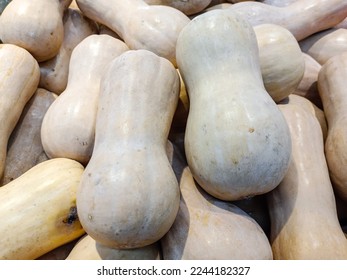 Heaps of honey gourds displayed on a shelf of a shop selling vegetables - Shutterstock ID 2244182327