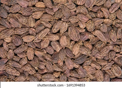 large cardamom images stock photos vectors shutterstock https www shutterstock com image photo heaps large black cardamom seeds on 1691394853