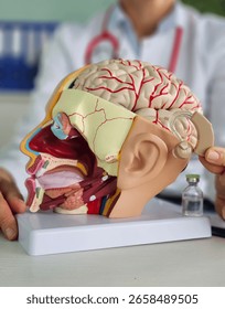 Hearing aids to support brain function. Assessing hearing loss in brain function. Relationships between hearing loss and senile dementia