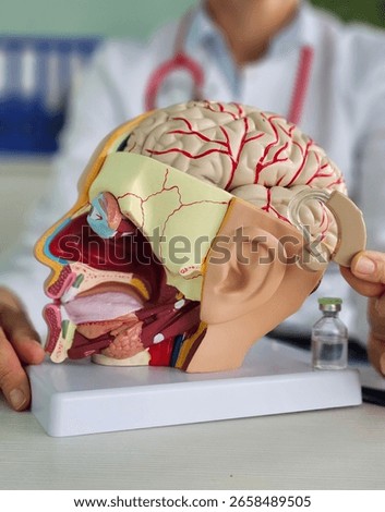 Hearing aids to support brain function. Assessing hearing loss in brain function. Relationships between hearing loss and senile dementia