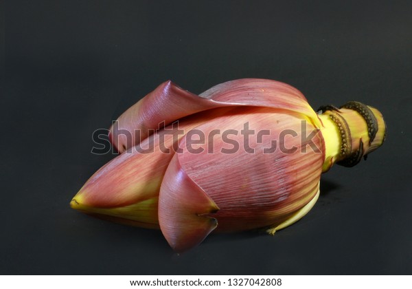 Heart Banana Banana Flower Blossom Has Stock Photo Edit Now 1327042808,Turkey Legs From Disneyland