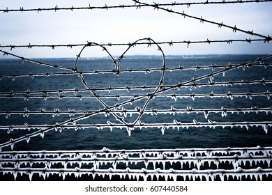 Heart Of Barbed Wire