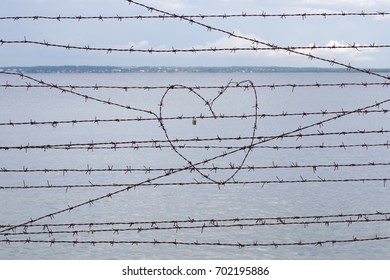 heart of barbed wire.
