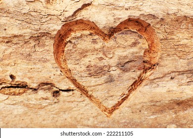 Heart Engraved Tree Images, Stock Photos & Vectors | Shutterstock