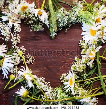 Similar – Image, Stock Photo Summer flowers frame on green