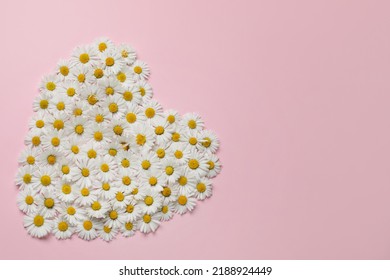 14,166 Heart Daisy Stock Photos, Images & Photography | Shutterstock