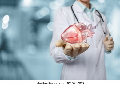 Heart disease diagnosis and treatment concept. Doctor shows heart on blurred background.