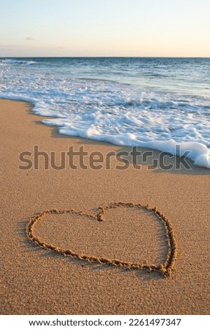 
Heart drawn in the sand on the beach at sunset. Heart shape. Heart symbol. Love. Sea ​​foam.