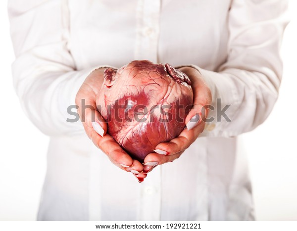 Heart Hands Isolated White Background Stock Photo 192921221 | Shutterstock