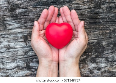 Heart Health Care Medical Cardiovascular Disease Concept And Organ Donor Donation For Life Giving Charity Campaign With Healthy Red Love Heart On Aging Woman's  Hand Support