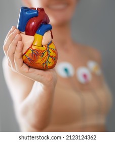 Heart Health Concept, Cardiac Stress Test. Woman During Heart Test With Sensors Holds Anatomical Model Of Human Heart In Hand In Front Of Her