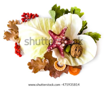 Heart- leaves cabbage,nuts,berries,flowers,unusual combinations of different fruits and element of decor.Health,Vitamins,Useful Plants,Nature, arvest,Autumn,Healthy Diet, Love.Vegetarianism, Tableware