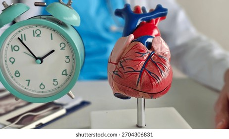 Heart model and clock on a table during a medical consultation about cardiovascular health