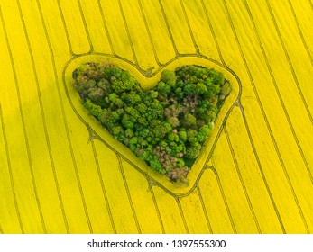 Heart of a nature, aerial view of heart shaped forest among yellow colza field - Powered by Shutterstock