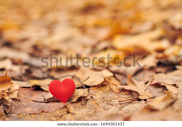 Heart on autumn\
leaves. Infatuation or unrequited romantic love concept. Symbol of\
one-sided unrequited love victims of Valentine day. Beautiful\
autumn background, copy\
space.