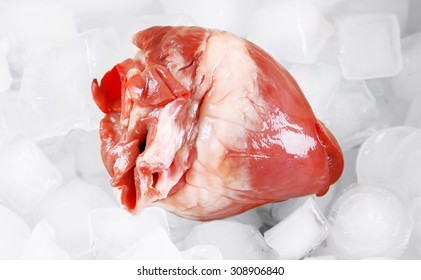 Heart Organ With Ice Close Up