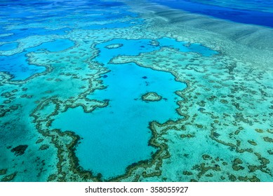 heart reef great barrier reef Whitsundays Queensland - Shutterstock ID 358055927