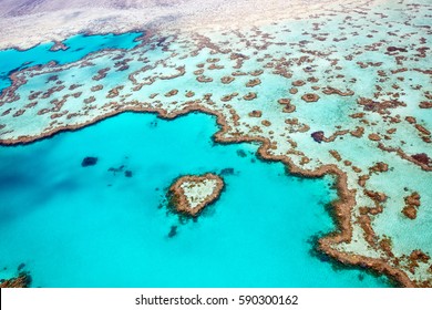 Heart Reef Whitsundays