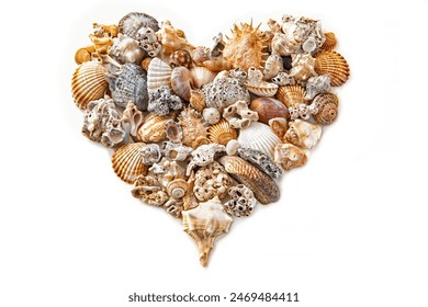 heart from sea shells on a white background. mirror heart - Powered by Shutterstock