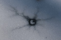 Heart Shape In Broken Ice On Frozen Pond