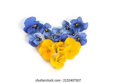 Heart shape in the colors of the Ukrainian flag from blue and yellow flowers, symbol of solidarity with Ukraine during the Russian military invasion, white background, copy space, flat lay