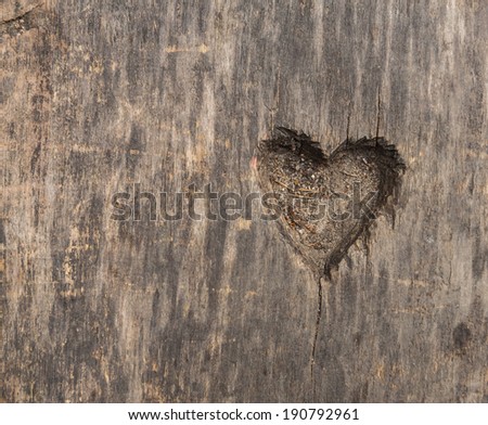 Image, Stock Photo Heart symbol carved in tree