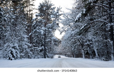 Heart Shape Formed Of Snowy Trees Above Road. Forest Covered In Snow. Amazing White Winter Landscape. Sunny Winter Day.