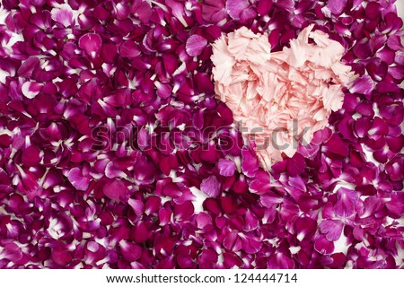 Similar – scattered petals of pink peony