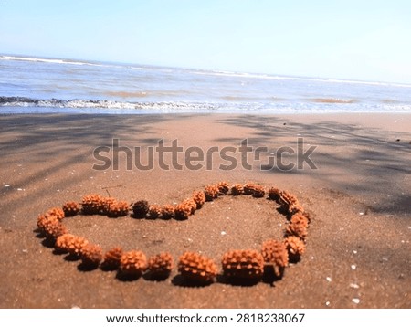 Heart shape made of seashells on a sandy beach beside the ocean, symbolizing love and romance.