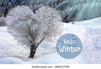 Hello Winter Images Stock Photos Vectors Shutterstock