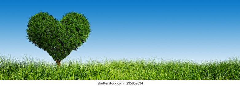 Heart shape tree on green grass field landscape. Panorama, banner. Love symbol, concept for Valentine's Day, wedding etc. 