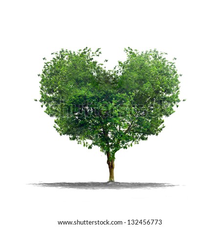 Heart shape tree over a white background - Love and nature concept