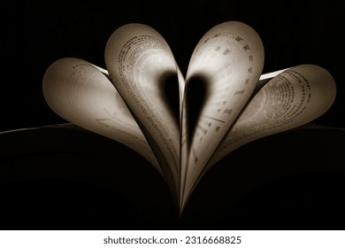 a heart shaped box with shadow - Shutterstock ID 2316668825