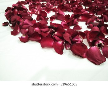 Heart Shaped Rose Petals On The Bed Nuptials.