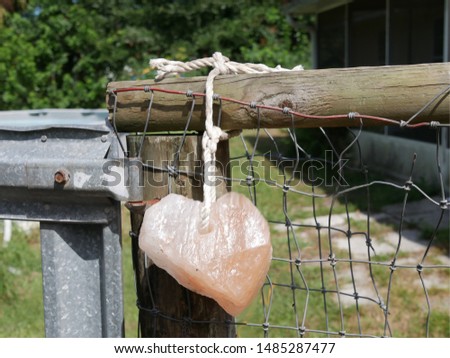 Similar – yellow plastic bag