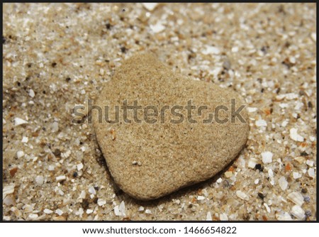 Similar – Beautiful hand holding a stone, on a beach sand background.