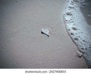 A heart shell on the beach 🖤